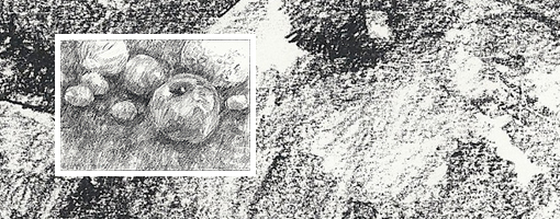 Drawing for the terrified image 2
